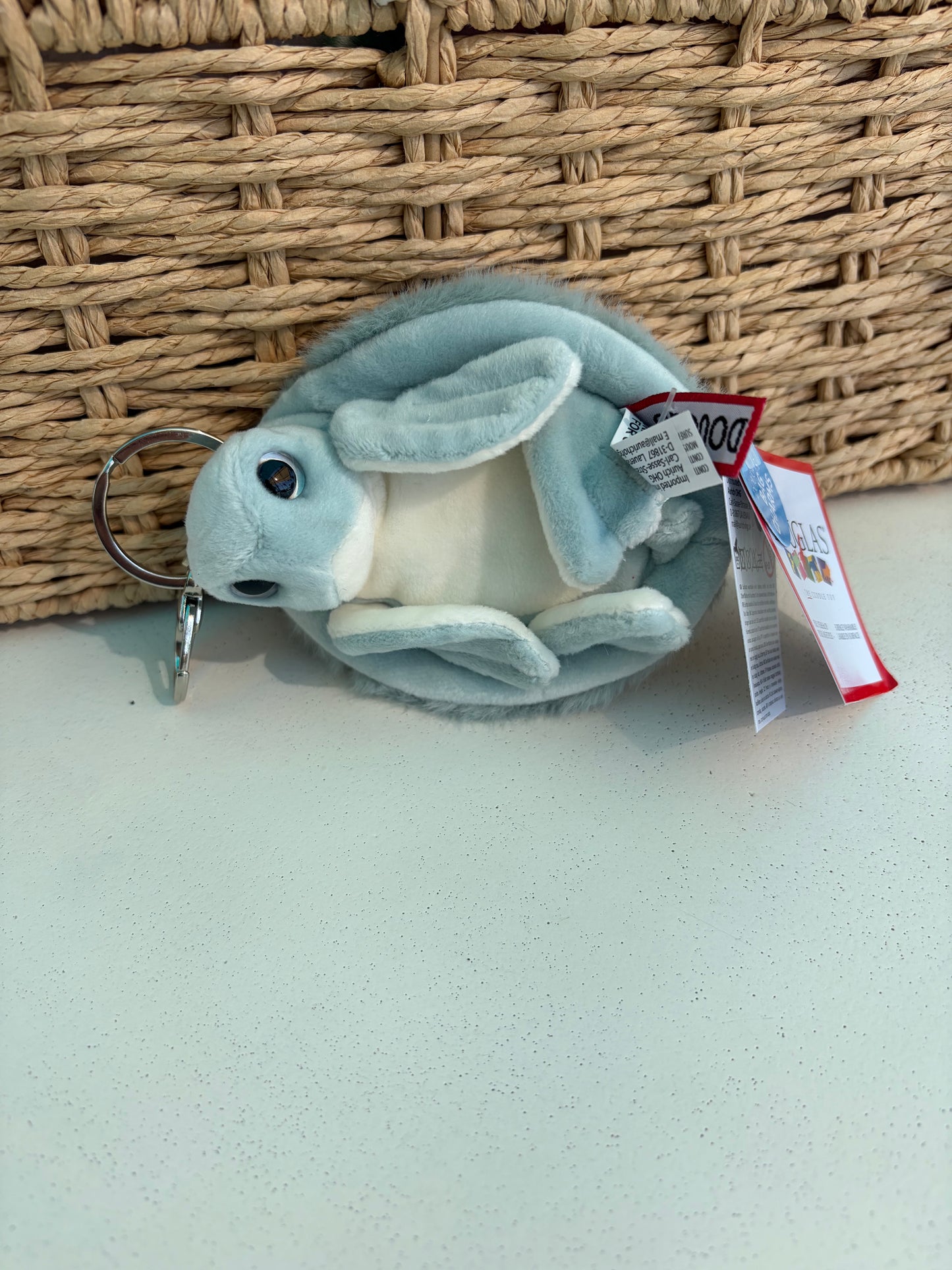 Turtle key chain