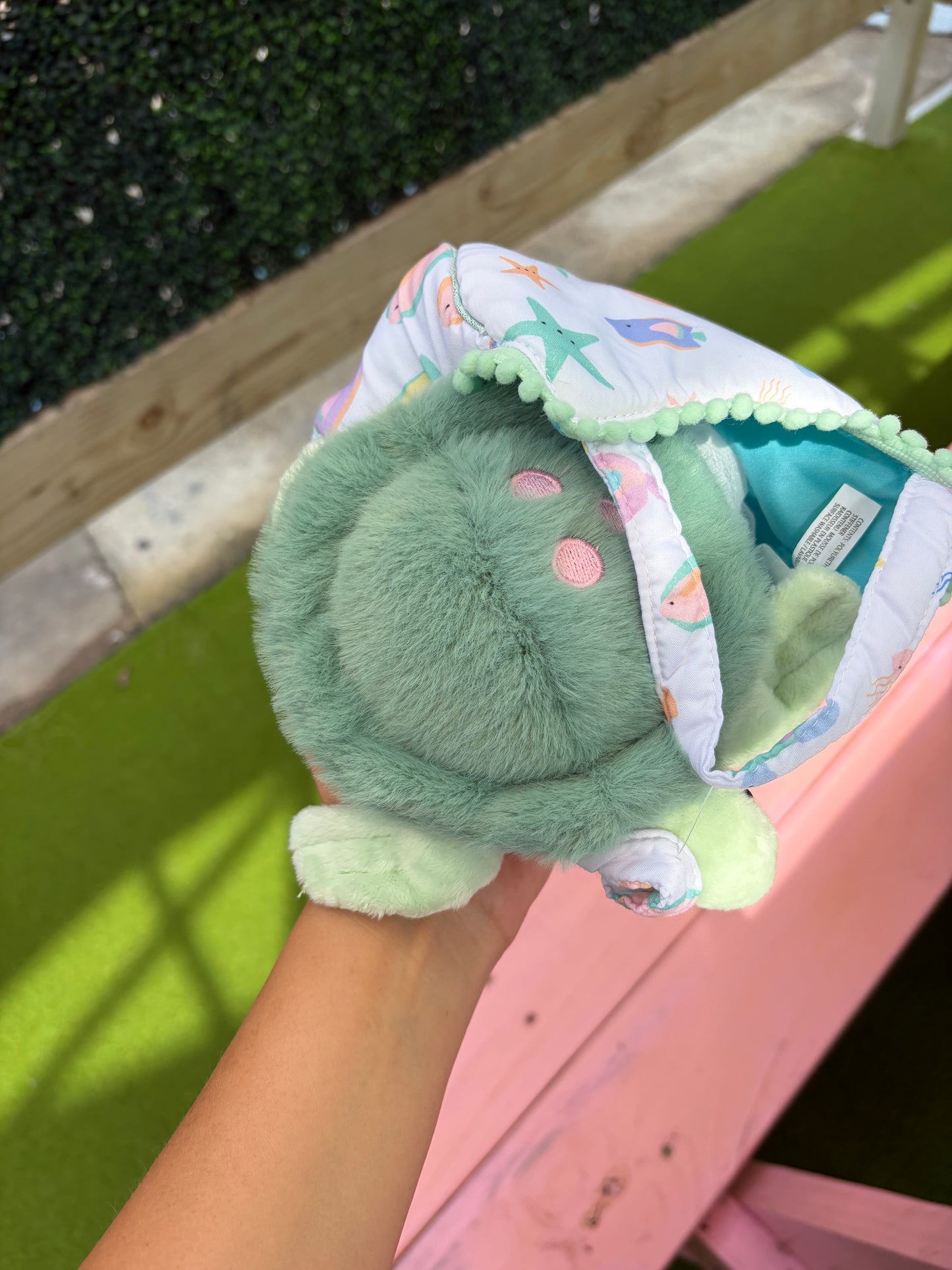 Squirtle the turtle!