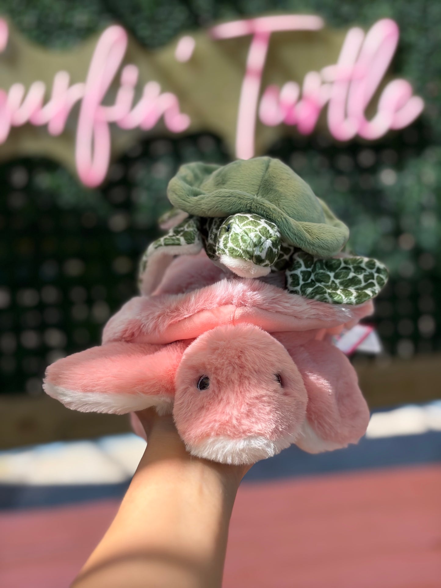 Souvenir Plush Turtle