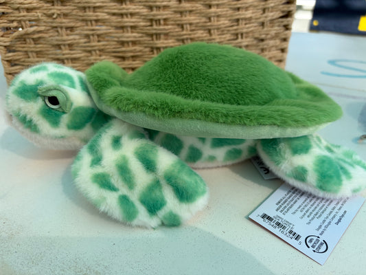 Crush the sea turtle